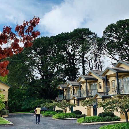 Falls Mountain Retreat Blue Mountains Wentworth Falls Extérieur photo
