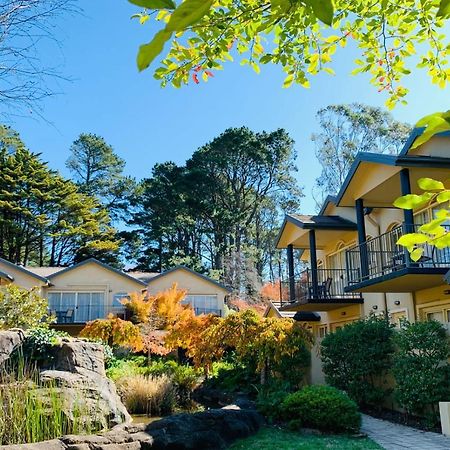 Falls Mountain Retreat Blue Mountains Wentworth Falls Extérieur photo